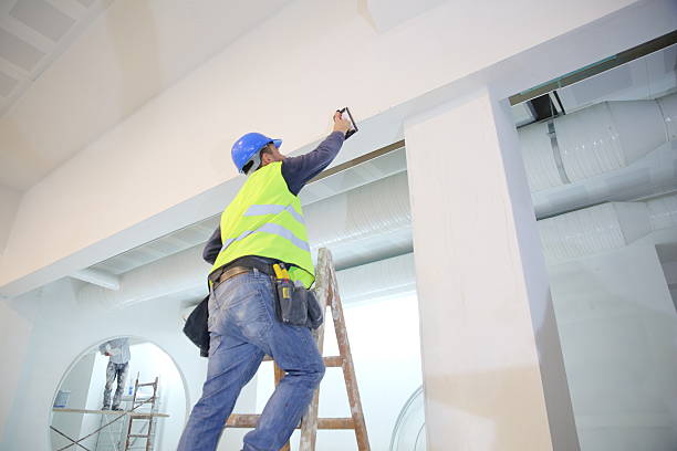 Mold Documentation for Insurance Claims in Everman, TX